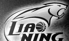 辽宁飞豹最新爆料,揭秘我国先进战机研发进展